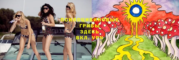бошки Алзамай