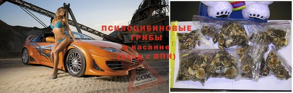 бошки Алзамай