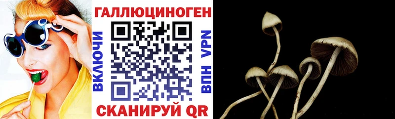 наркотики  Заозёрный  Галлюциногенные грибы Magic Shrooms 